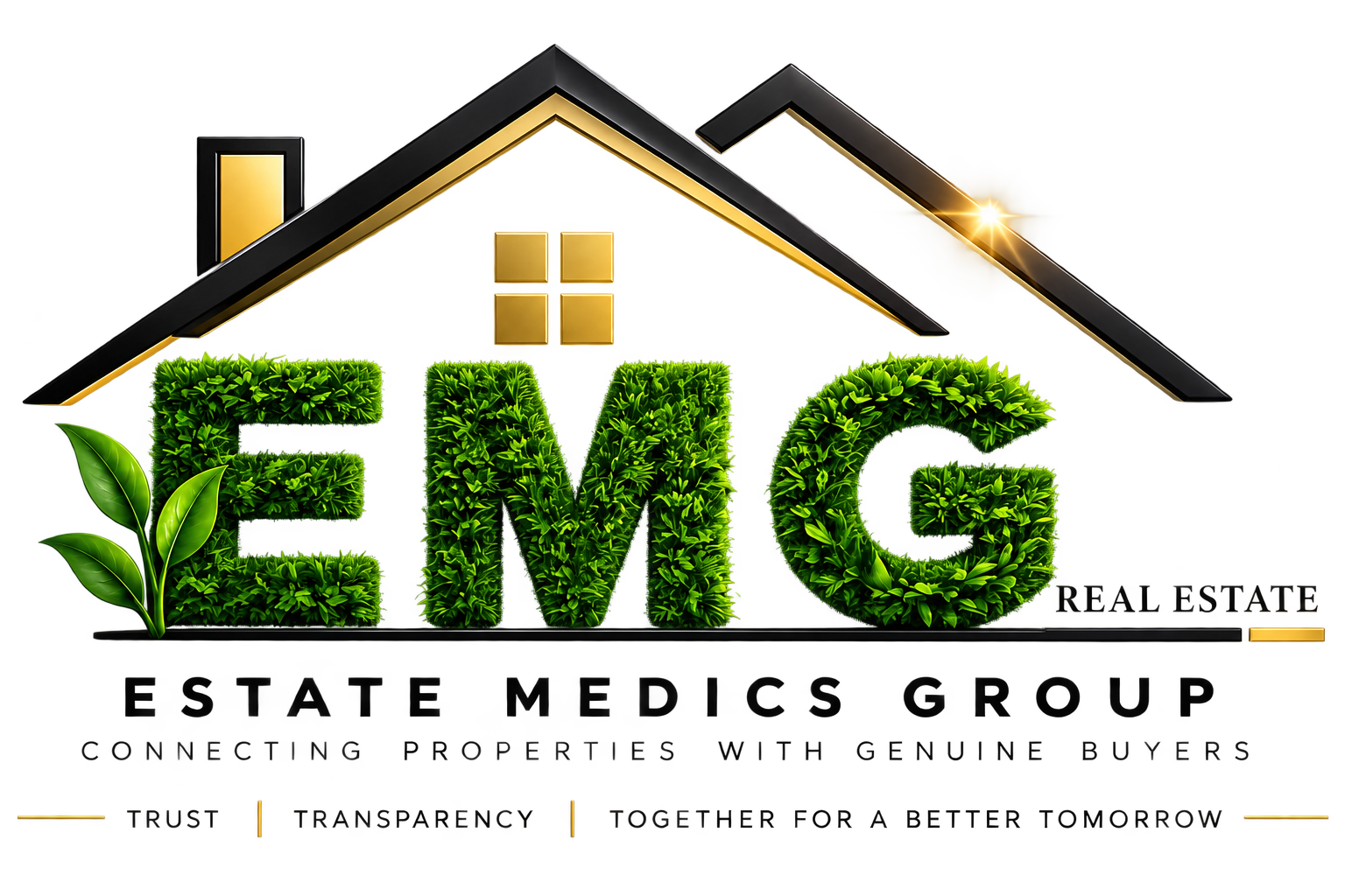EMG Estate Medics Group — Connecting Properties with Genuine Buyers